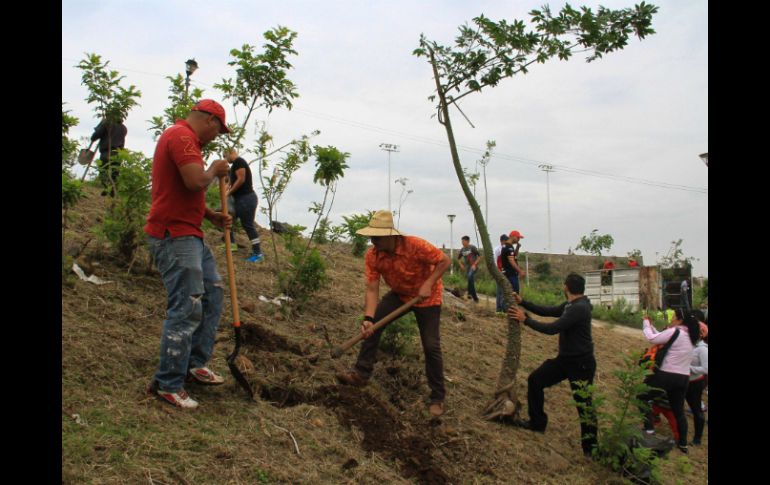 Los trabajos de retiro de maleza y limpieza se llevan a cabo de manera permanente por parte de distintas dependencias. ESPECIAL / Gobierno de Tlaquepaque