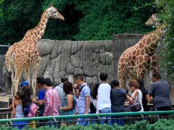 Los visitantes pueden admirar y aprender sobre diferentes especies. NTX / J. Lira