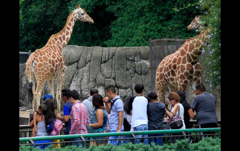 Los visitantes pueden admirar y aprender sobre diferentes especies. NTX / J. Lira