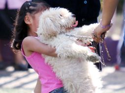 Para los niños, vivir con animales, sobre todo perros y gatos, es un modo de 'entrenar' a su sistema inmune. EL INFORMADOR / aracelyarambula