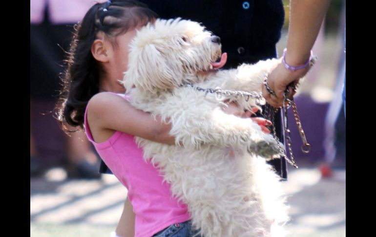 Para los niños, vivir con animales, sobre todo perros y gatos, es un modo de 'entrenar' a su sistema inmune. EL INFORMADOR / aracelyarambula