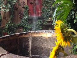 Aquellos que visiten este pueblo mágico, tienen que visitar Los Girasoles y probar la botana Girasoles o taquera. ESPECIAL / CORTESÍA