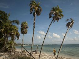 El Área Natural Protegida del Caribe Mexicano se extendería por Quintana Roo y los países de Belice, Guatemala y Honduras. NTX / ARCHIVO