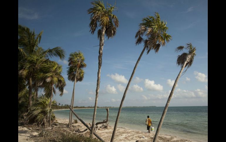 El Área Natural Protegida del Caribe Mexicano se extendería por Quintana Roo y los países de Belice, Guatemala y Honduras. NTX / ARCHIVO