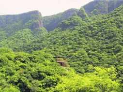 Las barrancas cuentan con diferentes ecosistemas en muy buen estado de conservación. ESPECIAL /