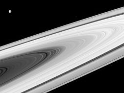 La imagen muestra los anillos principales de Saturno junto con sus lunas. TWITTER / @CassiniSaturn