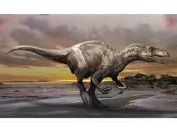 El dinosaurio carnívoro data de hace 80 millones de años. YOUTUBE / SciNews