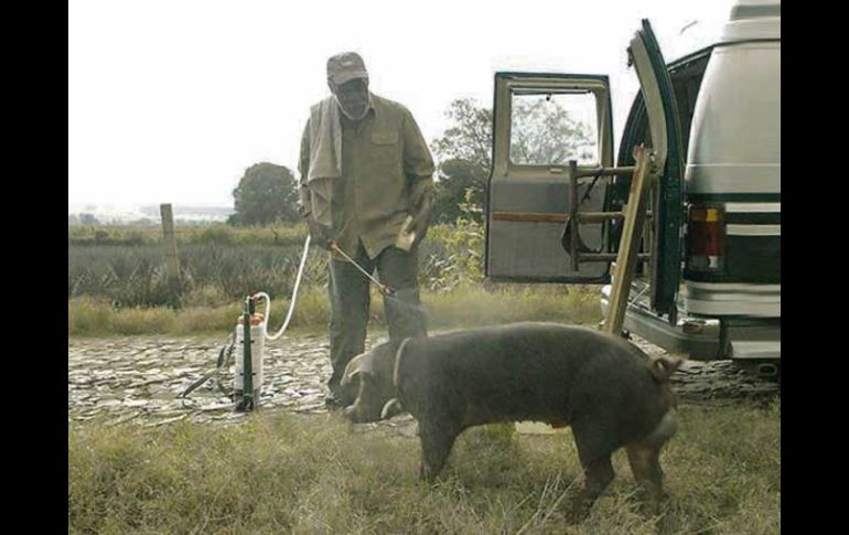 En su primer largometraje en la silla del director, Diego Luna afrontó el reto del cine documental. ESPECIAL /