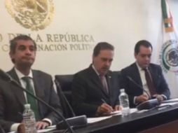 ''Es prioritario que el máximo tribunal de justicia de nuestro país estudié y resuelva'', asegura Ochoa. TWITTER / @Senado_PRI