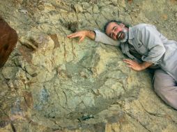 El Terópodo Alebisaurio corresponde a un carnívoro, bípedo, característico del cretácico superior de hace unos 80 millones de años. EFE / G. Marquina