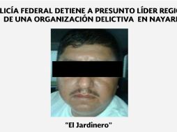 Almaguer señaló que 'El Jardinero' es un delincuente muy peligroso. TWITTER / @PoliciaFedMx