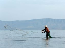 Pescadores reportan cinco años de pérdidas. Culpan a la pesca ilegal. EL INFORMADOR / ARCHIVO