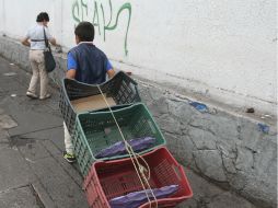 Los estados con mayor disminución en el número de niños que trabajan son Quintana Roo y Guanajuato. EL INFORMADOR / ARCHIVO