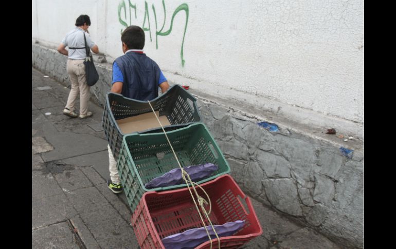 Los estados con mayor disminución en el número de niños que trabajan son Quintana Roo y Guanajuato. EL INFORMADOR / ARCHIVO