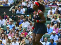 El buen año de Serena Williams la deja liderar la lista de las mejores tenistas del mundo. AFP / ARCHIVO