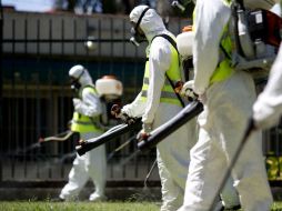 El brote de zika autóctono se limita a un área de 2.5 kilómetros cuadrados en el norte de Miami, en el vecindario de Wynwood. AP / ARCHIVO