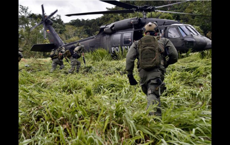 Miembros del Escuadrón Antidrogas de Colombia durante uno de los operativos, en el municipio de Calamar. AFP / G. Legaria