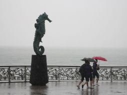 Personal de la UEPCBJ se mantiene alerta ante el paso de la tormenta tropical ''Javier'' por las costas del Estado. EFE / ARCHIVO