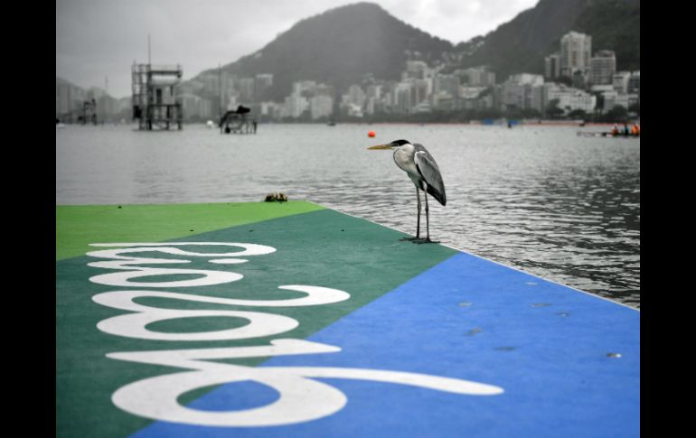 Es la segunda ocasión que se cancela una jornada de competición en Río. El domingo se suspendió la competencia de velero. EFE / F. Robichon