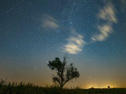 Se podrá ver en cualquier parte del mundo, sugieren mirar al cielo 20 minutos previos para que la vista se acostumbre a la oscuridad. EFE / L. Ogrodowscyzk