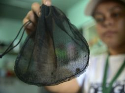 La epidemia de zika en la isla ya ha afectado el turismo. AFP / ARCHIVO