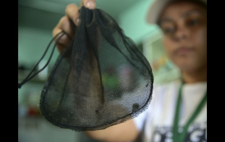 La epidemia de zika en la isla ya ha afectado el turismo. AFP / ARCHIVO