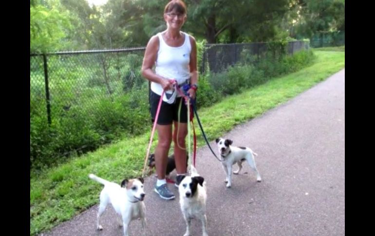 Sue Fortenbery fue a caminar con su perro en el parque Joe's Creek Greenway en el condado de Pinellas. FACEBOOK /