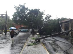 Alfaro reconoce también que la precipitación fue intensa en diversas partes de la Ciudad, lo que pudo causar las anegaciones. EL INFORMADOR / M. Vargas