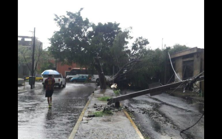 Alfaro reconoce también que la precipitación fue intensa en diversas partes de la Ciudad, lo que pudo causar las anegaciones. EL INFORMADOR / M. Vargas