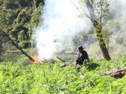 La Fuerza Única Jalisco desplegó operativos en la zona el pasado 18 de agosto. EL INFORMADOR / ARCHIVO