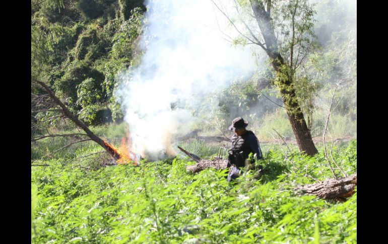 La Fuerza Única Jalisco desplegó operativos en la zona el pasado 18 de agosto. EL INFORMADOR / ARCHIVO