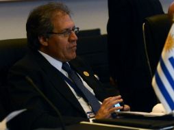 Luis Almagro afirma que ningún foro regional podrá desconocer la realidad de Venezuela. AFP / ARCHIVO