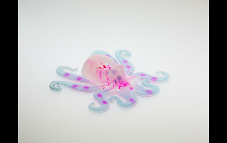 El Octobot es blando, inalámbrico, sin batería y producido a bajo costo por una impresora de 3D. AP / R. Truby