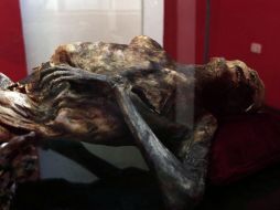 La momia se encuentra dentro de una vitrina dentro del museo en donde debe estar bajo una temperatura controlada con un termómetro. EFE / ARCHIVO