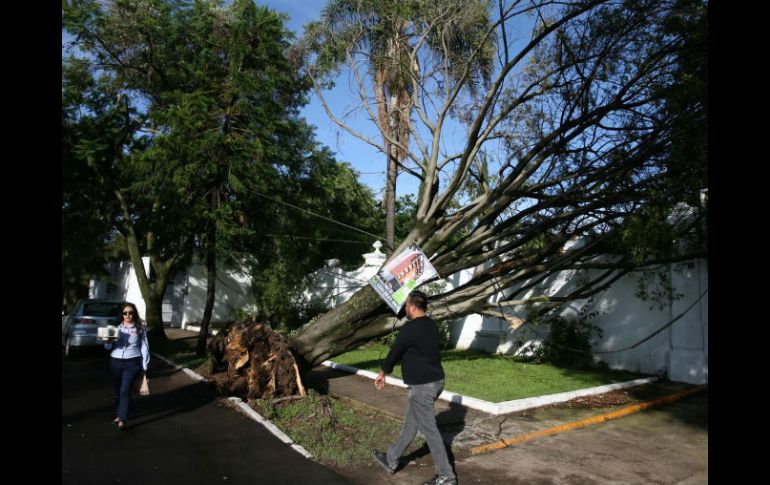 En algunos puntos de Guadalajara, las inundaciones alcanzan los 50 centímetros de altura. EL INFORMADOR / R. Tamayo