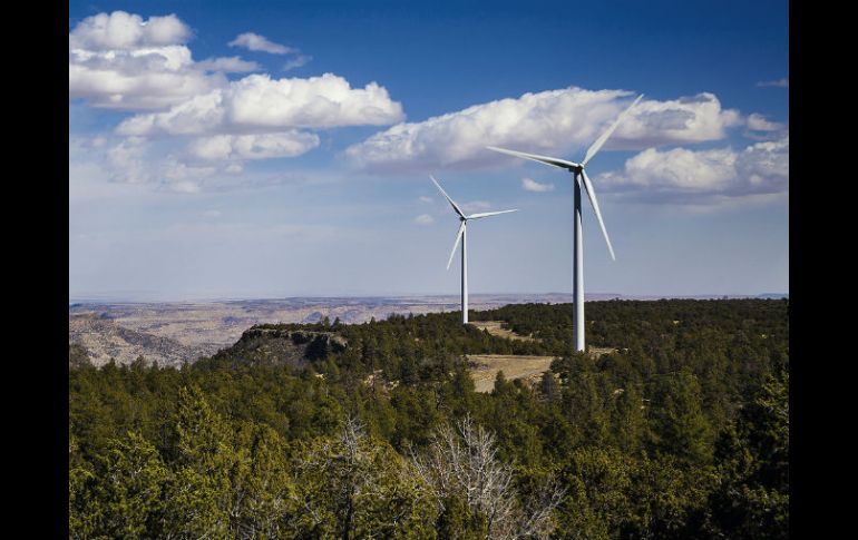 Ventika cuenta con 84 aerogeneradores, y una capacidad instalada de 252 megawatts. AP / ARCHIVO