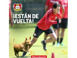 El atacante se presentó al campo con una protección para inmovilizar la extremidad que le aqueja. TWITTER / @bayer04_es