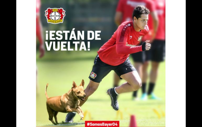 El atacante se presentó al campo con una protección para inmovilizar la extremidad que le aqueja. TWITTER / @bayer04_es