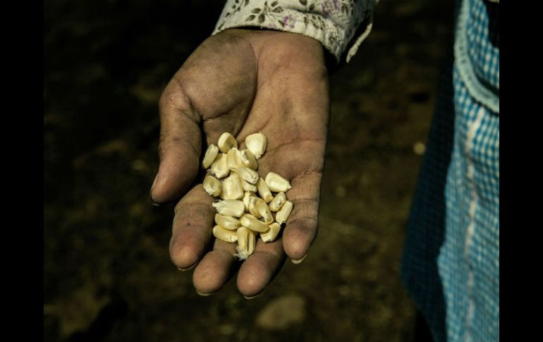 En el mundo hay 800 millones de personas que pasan hambre, a pesar de haber recursos para todos, están mal distribuidos. EL INFORMADOR / ARCHIVO