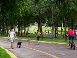 Además del lago, habrá obras complementarias como la planta de tratamiento y el sistema de riego. EL INFORMADOR / ARCHIVO