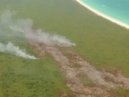 Señalan que la vegetación existente en el lugar, afectada por el incendio, son humedales, manglar y selva. NTX /