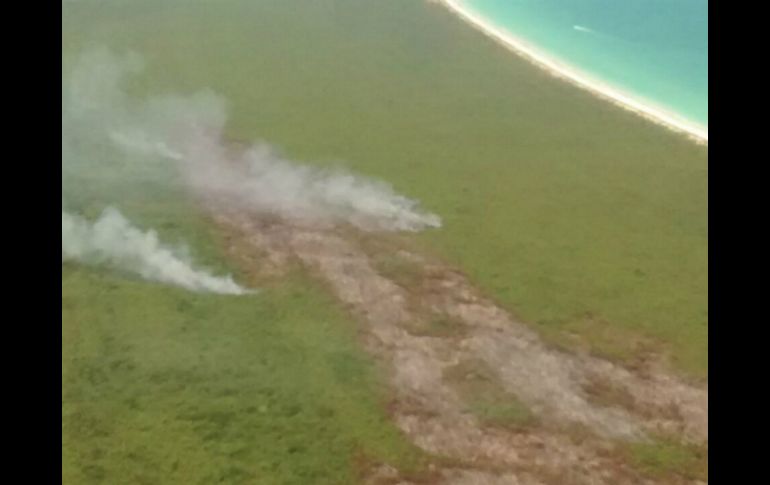 Señalan que la vegetación existente en el lugar, afectada por el incendio, son humedales, manglar y selva. NTX /