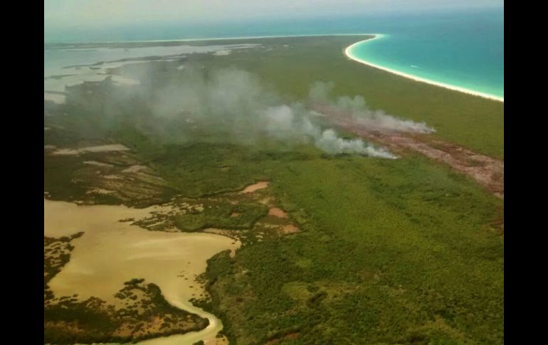 La zona siniestrada se encuentra dentro del Área Natural Protegida de Yum Balam. EFE / ESPECIAL