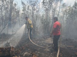 Se requirió del apoyo de una aeronave de las Fuerzas Armadas para sobrevolar la zona de afectación. NTX / ARCHIVO