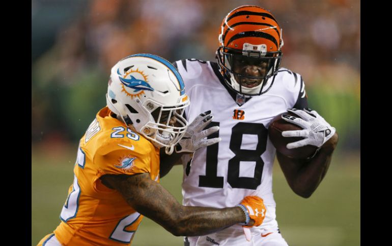 A.J. Green (#18) fue el gran aliado del mariscal de campo de los Bengals, Andy Dalton. Hizo un touchdown en el primer cuarto. AP / G. Landers