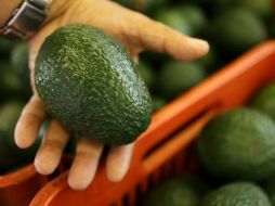 El estado donde más caro se vendió el aguacate la última semana es Baja California, a 62 pesos por kilo. EL INFORMADOR / ARCHIVO