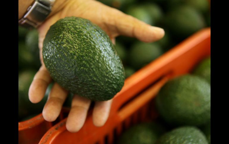 El estado donde más caro se vendió el aguacate la última semana es Baja California, a 62 pesos por kilo. EL INFORMADOR / ARCHIVO