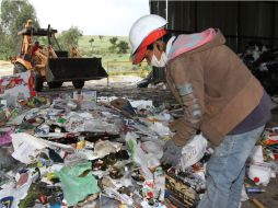 El estudio titulado 'Degradación de plastificantes empleando hongos filamentosos' está en su primera etapa. NTX / ARCHIVO