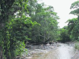 Belleza. El río, un auténtico poema visual ante los viajeros. EL INFORMADOR / V. García Remus