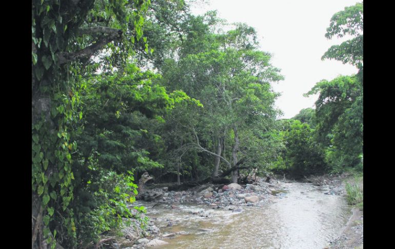 Belleza. El río, un auténtico poema visual ante los viajeros. EL INFORMADOR / V. García Remus